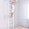 pull up bar eco 2