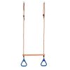 gymnastic ring with trapeze