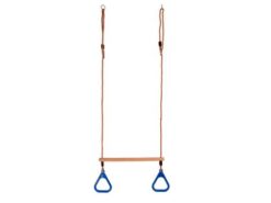 gymnastic ring with trapeze