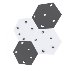 hexagon Wall black white